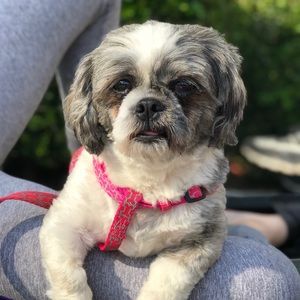 Meet your Posher, Sherry